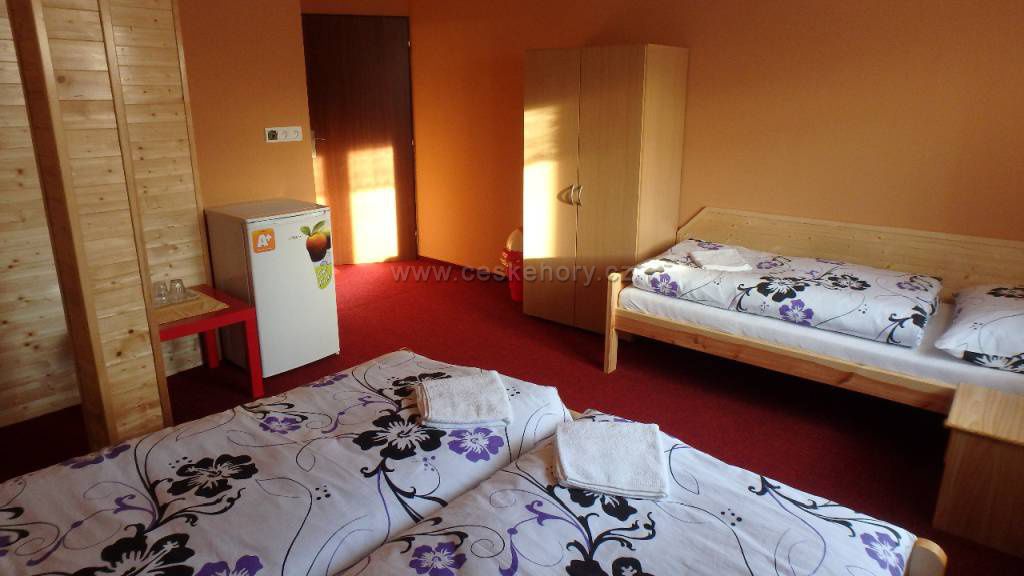 Pokoj s manželskou postelí, samostatným lůžkem a lednicí